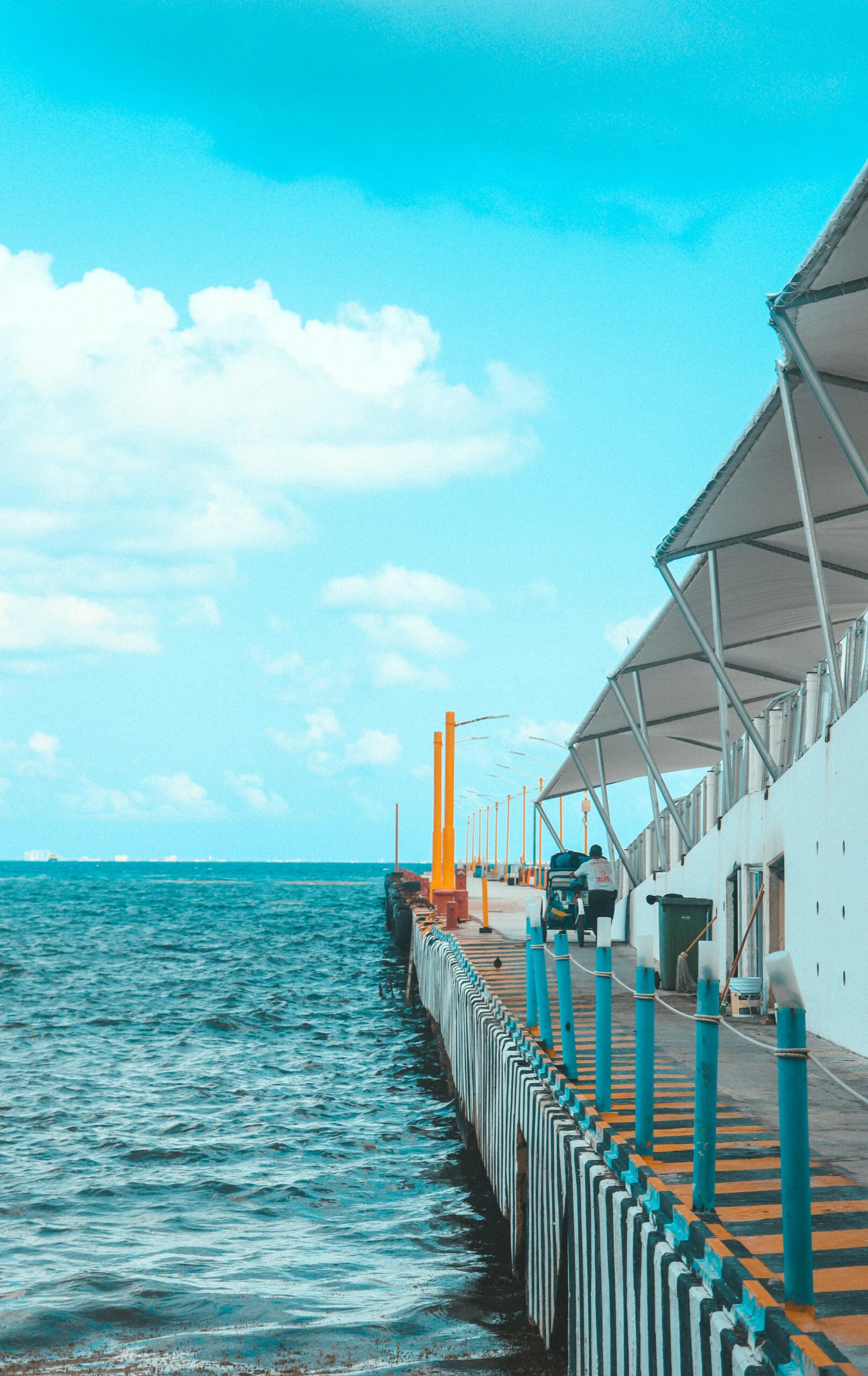 Expansión del puerto de Topolobampo atraerá nuevas inversiones internacionales